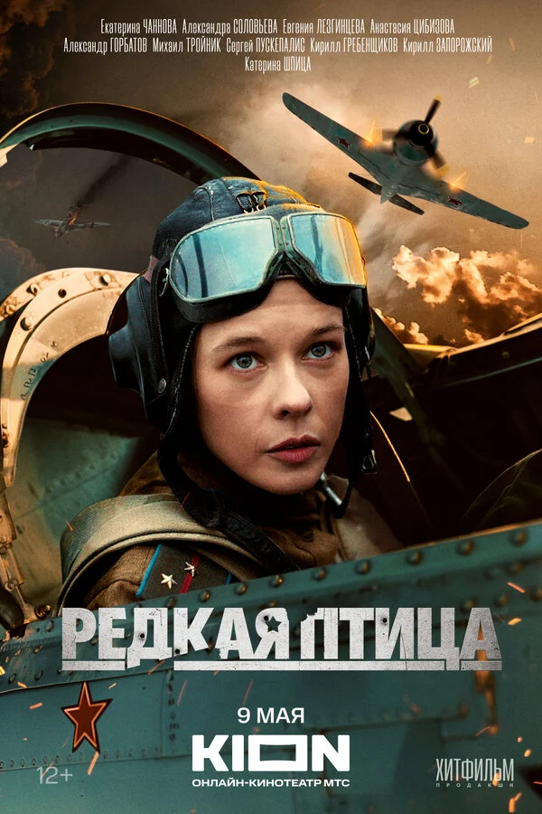 Редкая птица - постер сериала